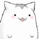 SHAKECAT