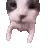 Cattokiss