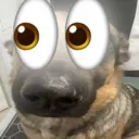 didyouseethat
