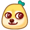 xiaohongdog