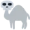 skullcamel skullcamel