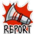 Report19