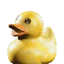 RubberDucky RubberDucky