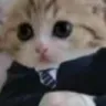 AE_okaycat
