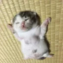 acatrsleep