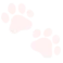 kittypaws