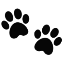 blackpaws