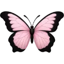 pinkblackbutterfly