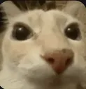emoji_24