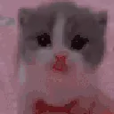 SCARED