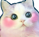 :emoji_1764265761938: