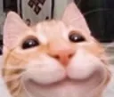 smilecat
