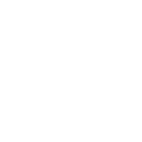 Crusader