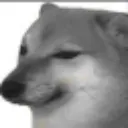 sad_dog