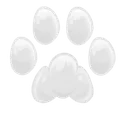 w_paw