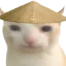cat_rice_asian Discord emoji