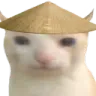 cat_rice_asian