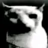 animal_violence