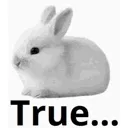 funnybunnytrue