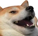ehehehehe