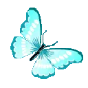 28801lightbluebutterfly