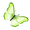 47842limegreenbutterfly