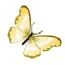 80906yellowbutterfly