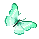 82421tealbutterfly