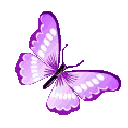 94512purplebutterfly