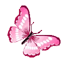 96336pinkbutterfly