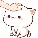 NTX_kittypats