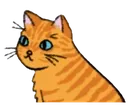 AE_catlook