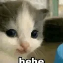 Hehe