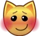 2_cat_blush