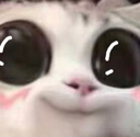 :cute_bigeyes_nc: