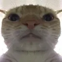 stare stare
