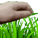 4888touchgrass