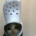 catshoe Discord emoji