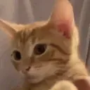 bah