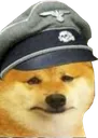 dasdoge
