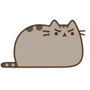 pusheenangry