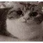 m_catexplode