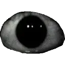 eye