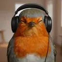 birdspeed