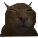 buh