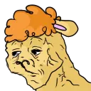 CondiSuffering