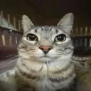 cistare2