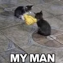catagreement