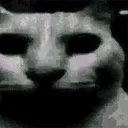 uncannycat