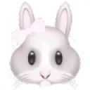 LASTNIGHT_bunnyDOLLSITE